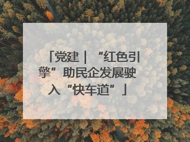 党建｜“红色引擎”助民企发展驶入“快车道”