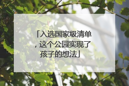 入选国家级清单，这个公园实现了孩子的想法
