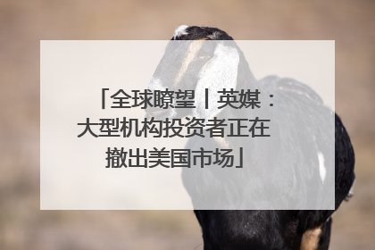 全球瞭望丨英媒：大型机构投资者正在撤出美国市场