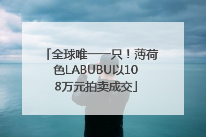 全球唯一一只！薄荷色LABUBU以108万元拍卖成交