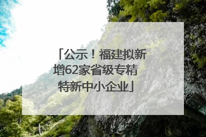 公示！福建拟新增62家省级专精特新中小企业
