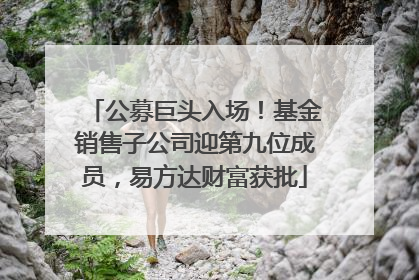 公募巨头入场！基金销售子公司迎第九位成员，易方达财富获批