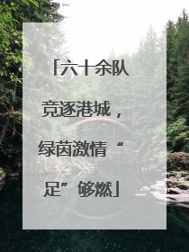 六十余队竞逐港城，绿茵激情“足”够燃