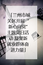 兰州市城关区开展“新心向党”主题党日活动 凝聚新就业群体奋进力量