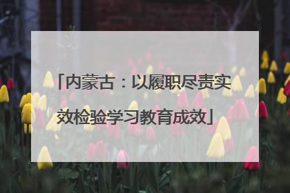 内蒙古：以履职尽责实效检验学习教育成效