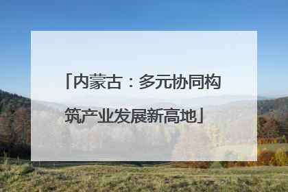 内蒙古：多元协同构筑产业发展新高地