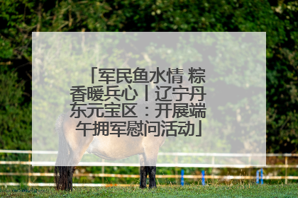 军民鱼水情 粽香暖兵心丨辽宁丹东元宝区：开展端午拥军慰问活动