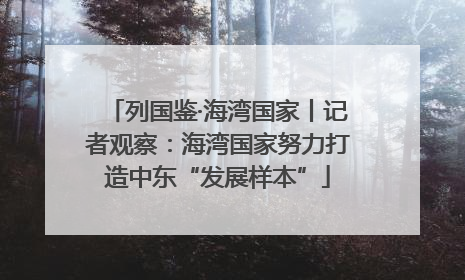 列国鉴·海湾国家丨记者观察：海湾国家努力打造中东“发展样本”