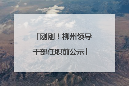 刚刚！柳州领导干部任职前公示