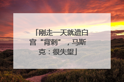 刚走一天就遭白宫“背刺”，马斯克：很失望