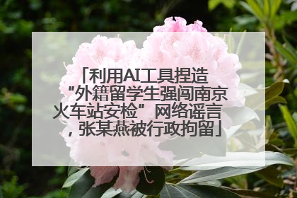 利用AI工具捏造 “外籍留学生强闯南京火车站安检”网络谣言，张某燕被行政拘留