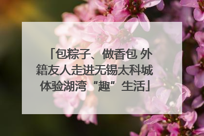 包粽子、做香包 外籍友人走进无锡太科城体验湖湾“趣”生活