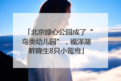 北京绿心公园成了“鸟类幼儿园”，福泽湖畔降生8只小鸳鸯