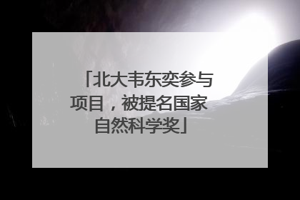 北大韦东奕参与项目，被提名国家自然科学奖