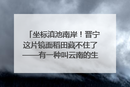 坐标滇池南岸！晋宁这片镜面稻田藏不住了——有一种叫云南的生活之365天
