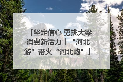坚定信心 勇挑大梁·消费新活力丨“河北游”带火“河北购”