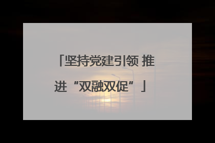 坚持党建引领 推进“双融双促”