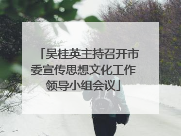 吴桂英主持召开市委宣传思想文化工作领导小组会议