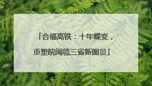 合福高铁：十年蝶变，重塑皖闽赣三省新图景
