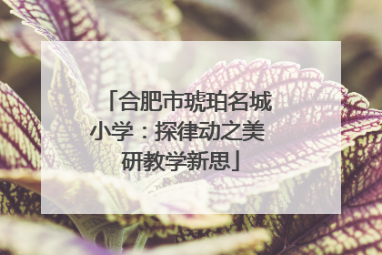 合肥市琥珀名城小学：探律动之美 研教学新思