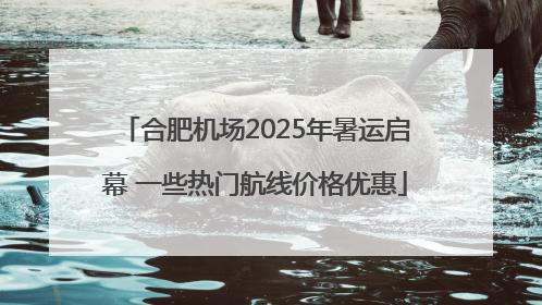合肥机场2025年暑运启幕 一些热门航线价格优惠