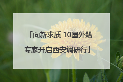 向新求质 10国外籍专家开启西安调研行