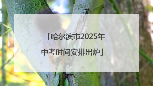 哈尔滨市2025年中考时间安排出炉