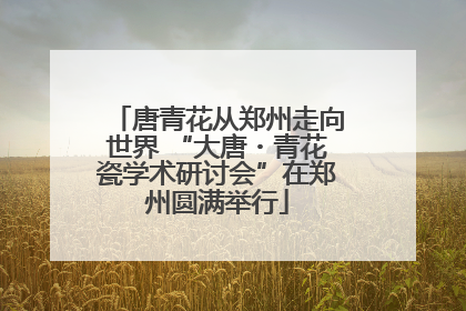 唐青花从郑州走向世界 “大唐・青花瓷学术研讨会”在郑州圆满举行