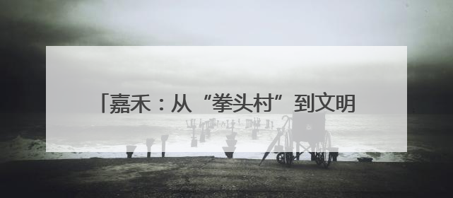 嘉禾：从“拳头村”到文明标杆 清水村的逆袭密码