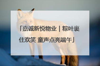 嘉诚新悦物业｜粽叶裹住欢笑 童声点亮端午