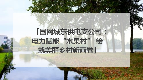 国网城东供电支公司：电力赋能“水果村” 绘就美丽乡村新画卷
