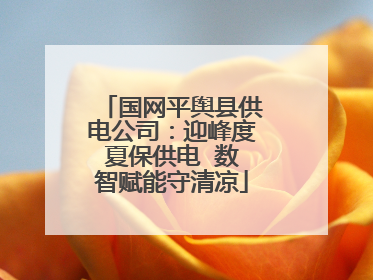 国网平舆县供电公司：迎峰度夏保供电  数智赋能守清凉