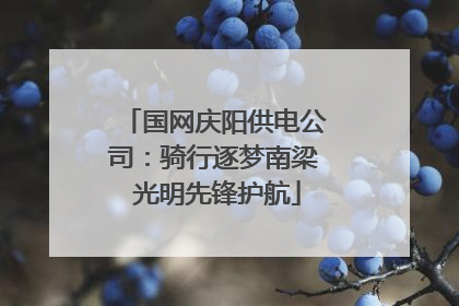 国网庆阳供电公司：骑行逐梦南梁 光明先锋护航