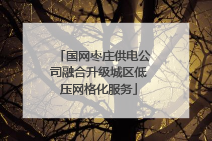 国网枣庄供电公司融合升级城区低压网格化服务