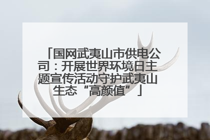 国网武夷山市供电公司：开展世界环境日主题宣传活动守护武夷山生态“高颜值”