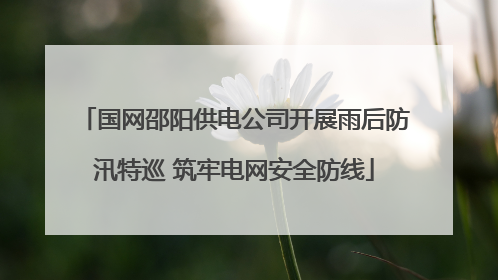 国网邵阳供电公司开展雨后防汛特巡 筑牢电网安全防线