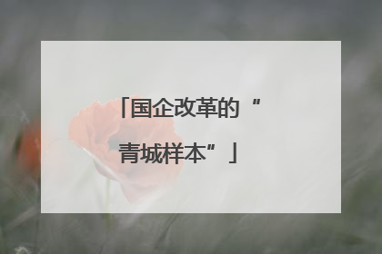 国企改革的“青城样本”