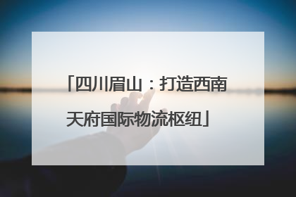 四川眉山：打造西南天府国际物流枢纽