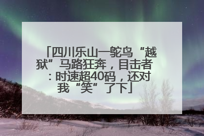 四川乐山一鸵鸟“越狱”马路狂奔，目击者：时速超40码，还对我“笑”了下