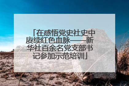 在感悟党史社史中赓续红色血脉——新华社百余名党支部书记参加示范培训