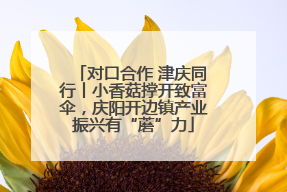 对口合作 津庆同行丨小香菇撑开致富伞，庆阳开边镇产业振兴有“蘑”力
