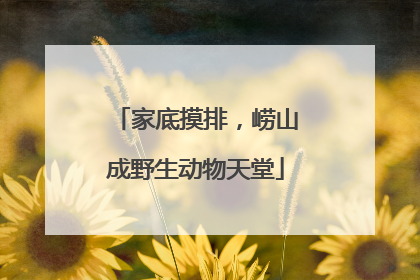 家底摸排，崂山成野生动物天堂