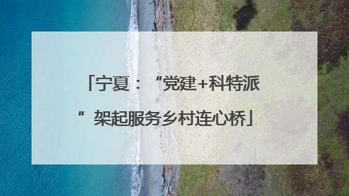 宁夏：“党建+科特派”架起服务乡村连心桥