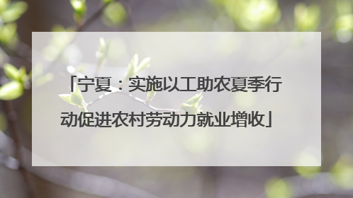 宁夏：实施以工助农夏季行动促进农村劳动力就业增收