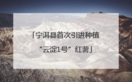 宁洱县首次引进种植“云淀1号”红薯