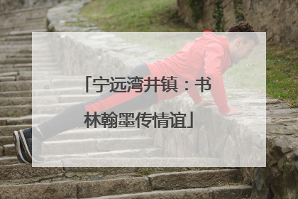 宁远湾井镇：书林翰墨传情谊