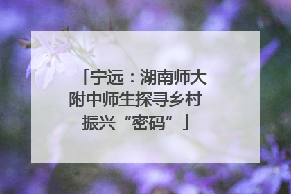宁远：湖南师大附中师生探寻乡村振兴“密码”