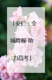 安仁：全城降噪 助力高考