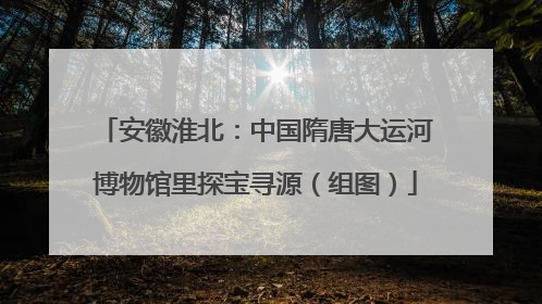 安徽淮北：中国隋唐大运河博物馆里探宝寻源（组图）