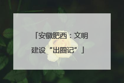 安徽肥西：文明建设“出圈记”